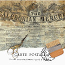 Search for vintage tissue paper newspaper