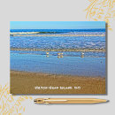 Search for shorebirds cards invites Beach