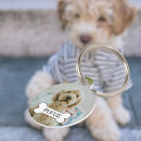 Search for photo pet tags For pets