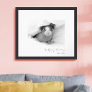 Search for pet supplies Photography