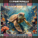 Search for diving gift wrap Turtle