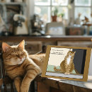 Search for charge cards Cat
