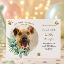Search for dog photo invitations Watercolor