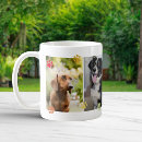 Search for four paws mugs Cute