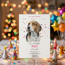 Search for beagle 5x7 invitations Cute