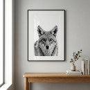 Search for coyotes posters Watercolor