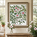 Search for perennials posters Gardens