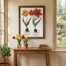 Search for vintage spring flowers posters Botanical