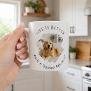 Search for better kitchen dining Dog lover