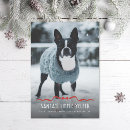 Search for cute dog christmas cards Pets