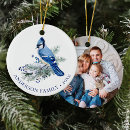 Search for blue jay christmas tree decorations Winter
