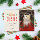 Search for cute kitten christmas cards Pet