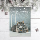 Search for cat puns seasonal cards Pet