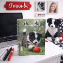 Search for collie notebooks Black and white dog
