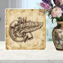 Search for anatomy tiles Anatomical