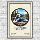 Search for herding dog posters Collie