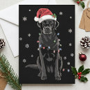 Search for lab christmas cards Dog lover christmas