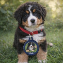 Search for dog tags Create your own