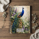 Search for peacock notebooks Illustration