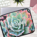 Search for succulent photography Cactus