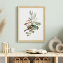 Search for vintage bird posters Nature