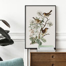 Search for vintage bird posters Botanical