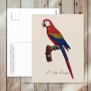 Search for macao postcards Bird