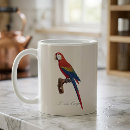 Search for ara coffee mugs Scarlet macaw