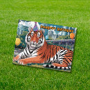 Search for orange cat birthday cards White