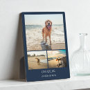 Search for pet supplies Cute