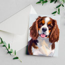 Search for cocker spaniel dog cards Dogs