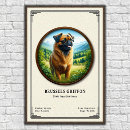 Search for brussels posters Griffon