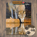 Search for pond reflection Wildlife