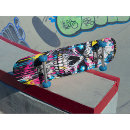 Search for graffiti art skateboards Skull