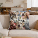Search for memory loss Dog lover