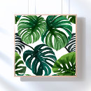 Search for monstera posters Green