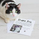 Search for furrie cards For pets