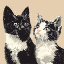 Search for house cat iphone cases Black