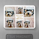 Search for gold magnets Modern