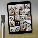 Search for 13 magnets Photography