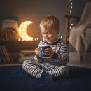 Search for stardust mugs Moon