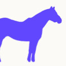 Search for equine business cards Trainer