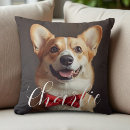 Search for pet memorial cushions Simple