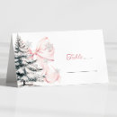 Search for bridal shower place cards Winter