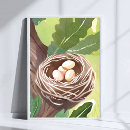 Search for birds nesting posters Nature