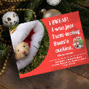 Search for of the hamster and cards For pets