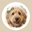 Search for puppy photo stickers Create your own