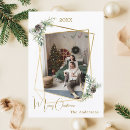 Search for pine cone christmas cards Script typography