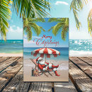Search for beach scene christmas cards Palm trees