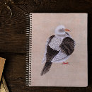 Search for pigeon notebooks Dove
